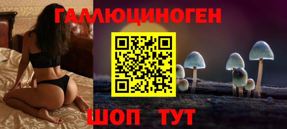 Галлюциногенные грибы Psilocybine cubensis Фурманов